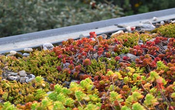 the cost of Bwlchtocyn green roof installation