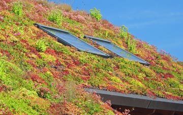 Bwlchtocyn living roof systems
