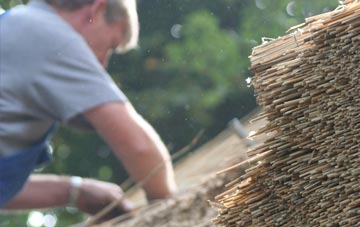 professional Bwlchtocyn thatchers