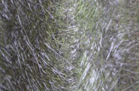 Bwlchtocyn fibreglass roof work